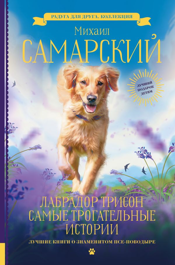 

Лабрадор Трисон. Самые трогательные истории