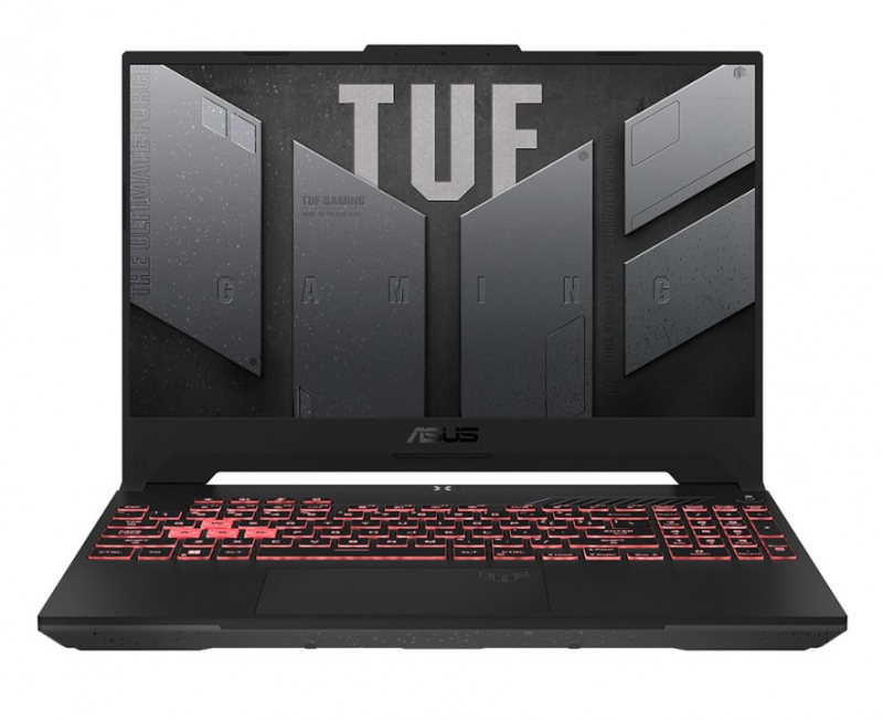 Ноутбук ASUS TUF Gaming A15 FA507RM-HN110 Gray (90NR09C1-M006C0)