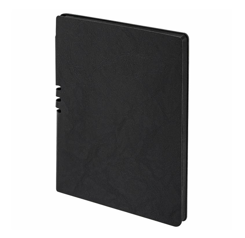 

Тетрадь Brauberg Nebraska A5 175x215mm 96 листов Black 113416