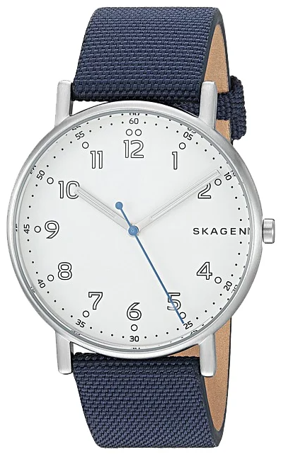 

Наручные часы Skagen SKW6356