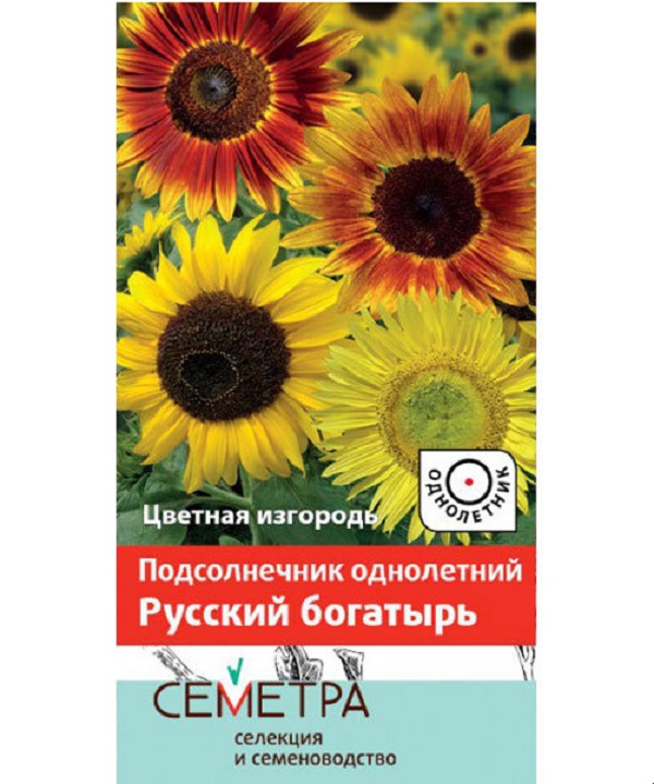 

Семена подсолнечник Семетра Русский Богатырь 1 уп.