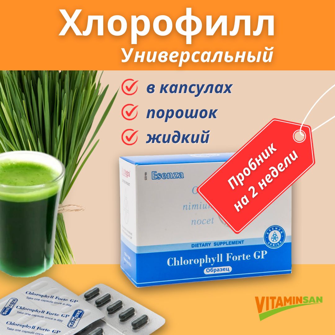 

Хлорофилл Форте Сантегра Chlorophyll Forte Santegra 50 мг 15 капсул