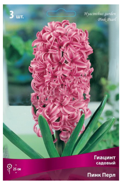 

Луковицы Поиск Гиацинт садовый Пинк Перл 50 г