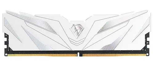 

Оперативная память Netac (NTSWD5P48SP-08W), DDR5 1x8Gb, 4800MHz