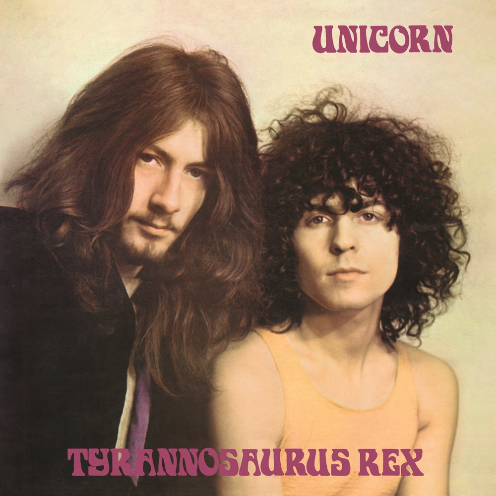 

Tyrannosaurus Rex Unicorn (Colored Vinyl)