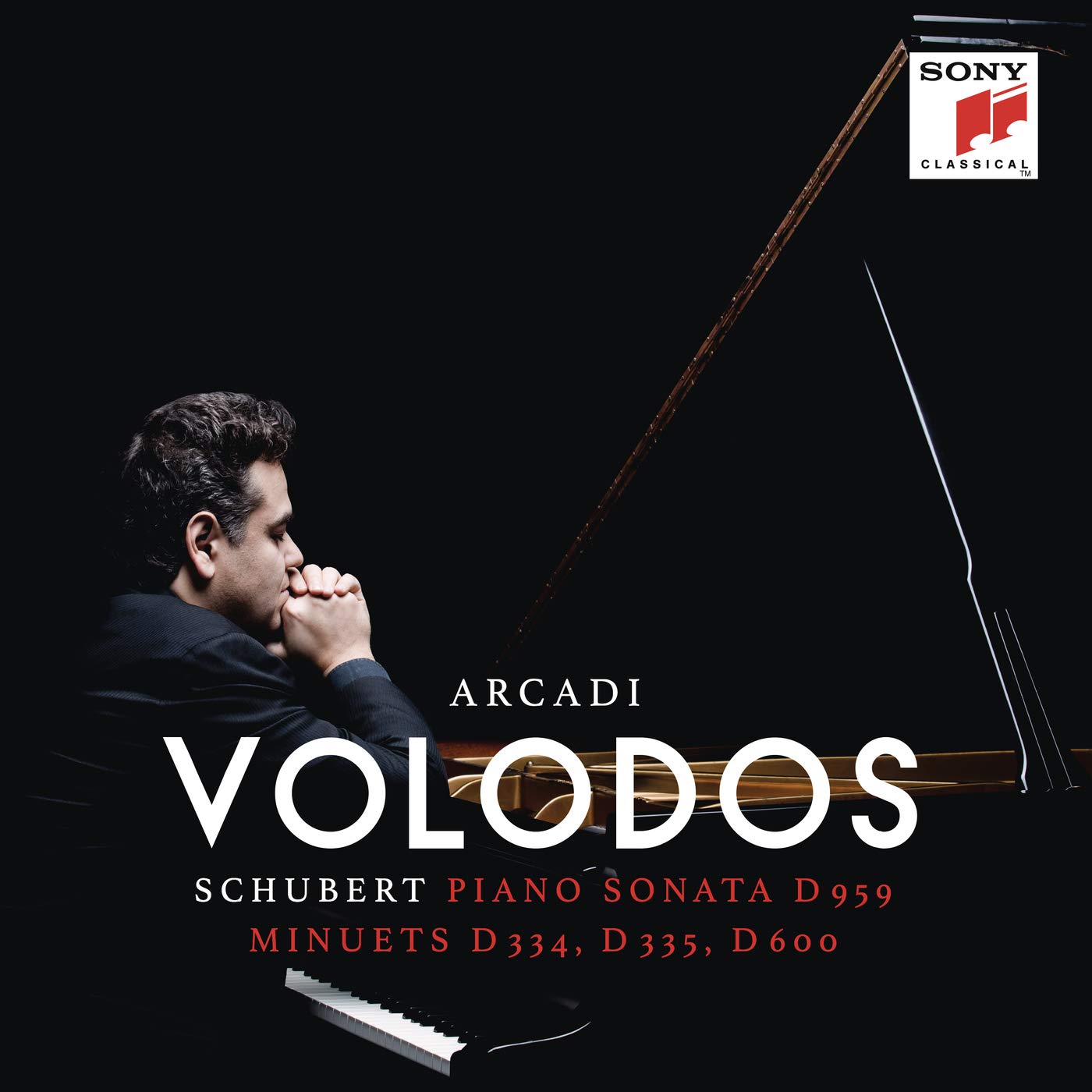 

Arcadi Volodos Schubert: Piano Sonata D.959 & Minuets D