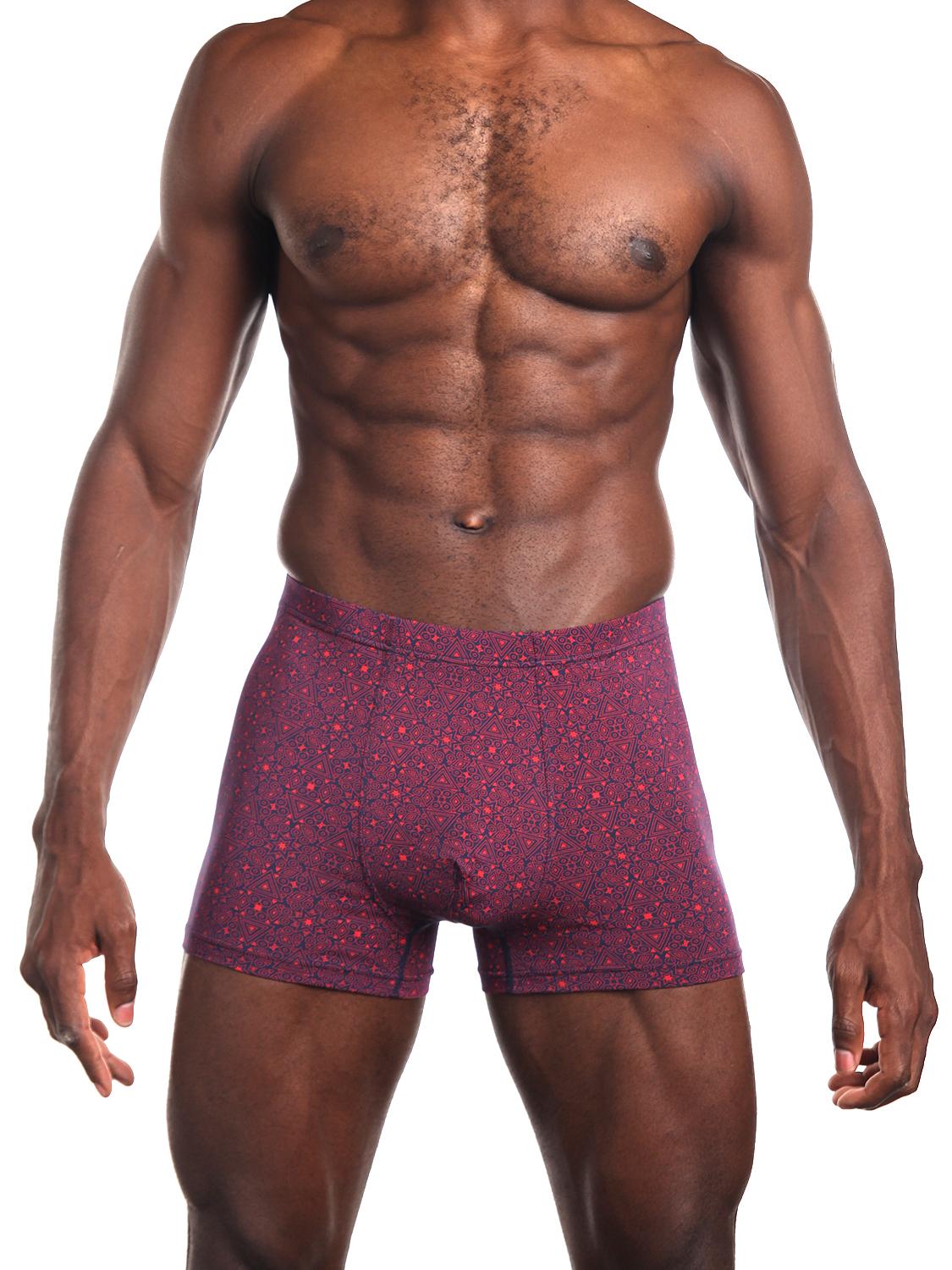

Трусы мужские Sergio Dallini SG2941-2 фиолетовые XXXL, Фиолетовый, SG2941