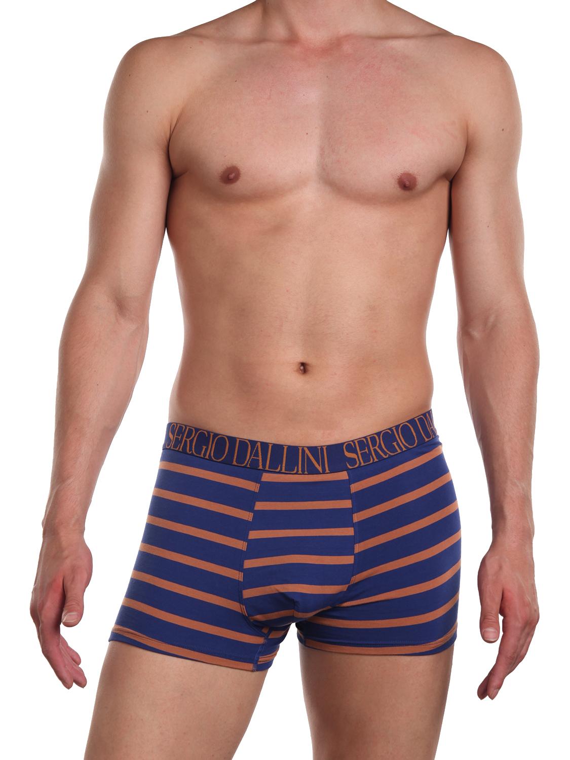 

Трусы мужские Sergio Dallini SG2929-3 синие XL, Синий, SG2929-3