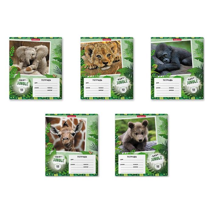 

Тетрадь 12 л в клетку ErichKrause Baby Jungle обложка мелованный картон блок офсет МИКС…