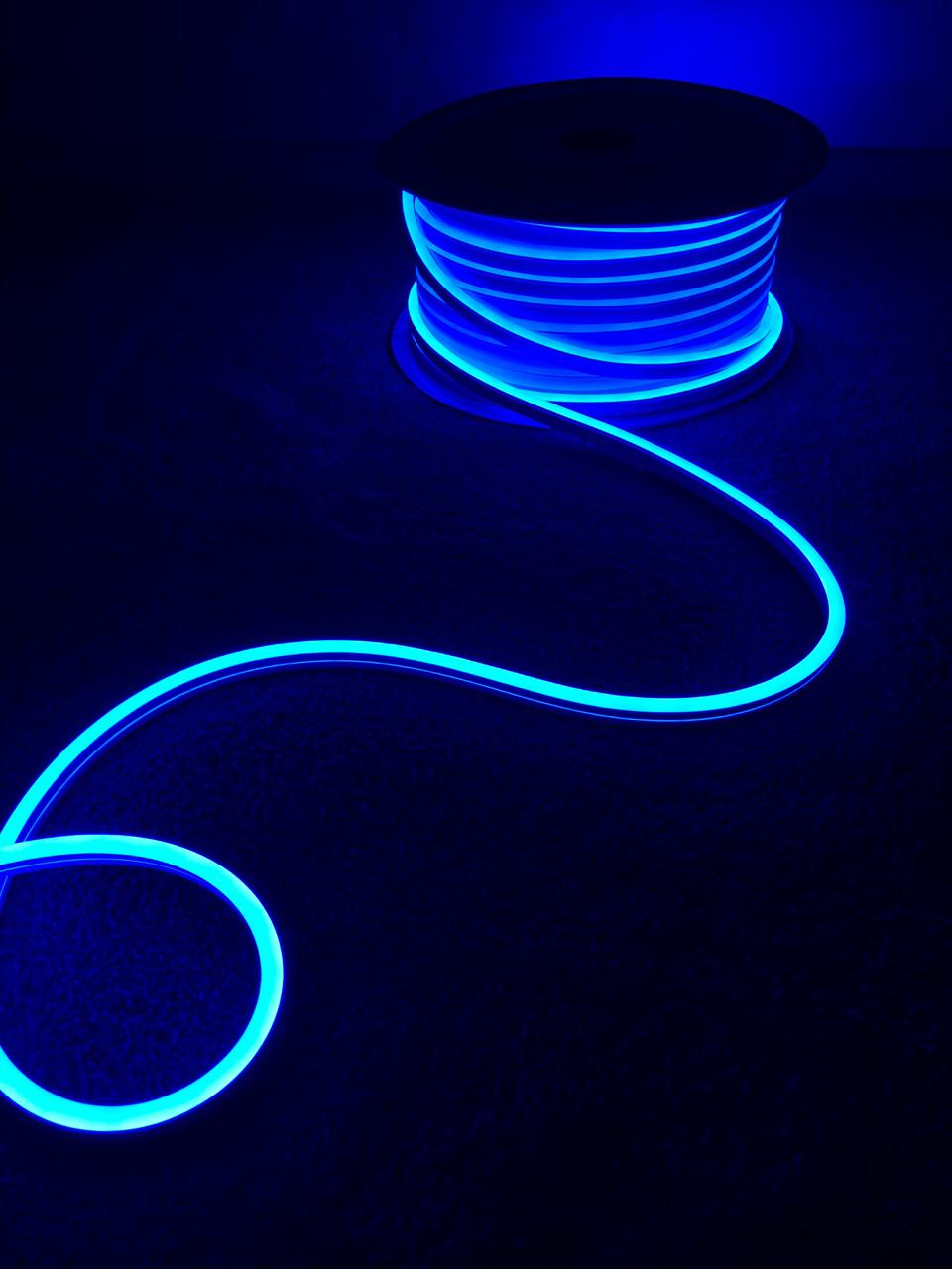 фото Светодиодная лента pj neon pjblue-4 4 м синий