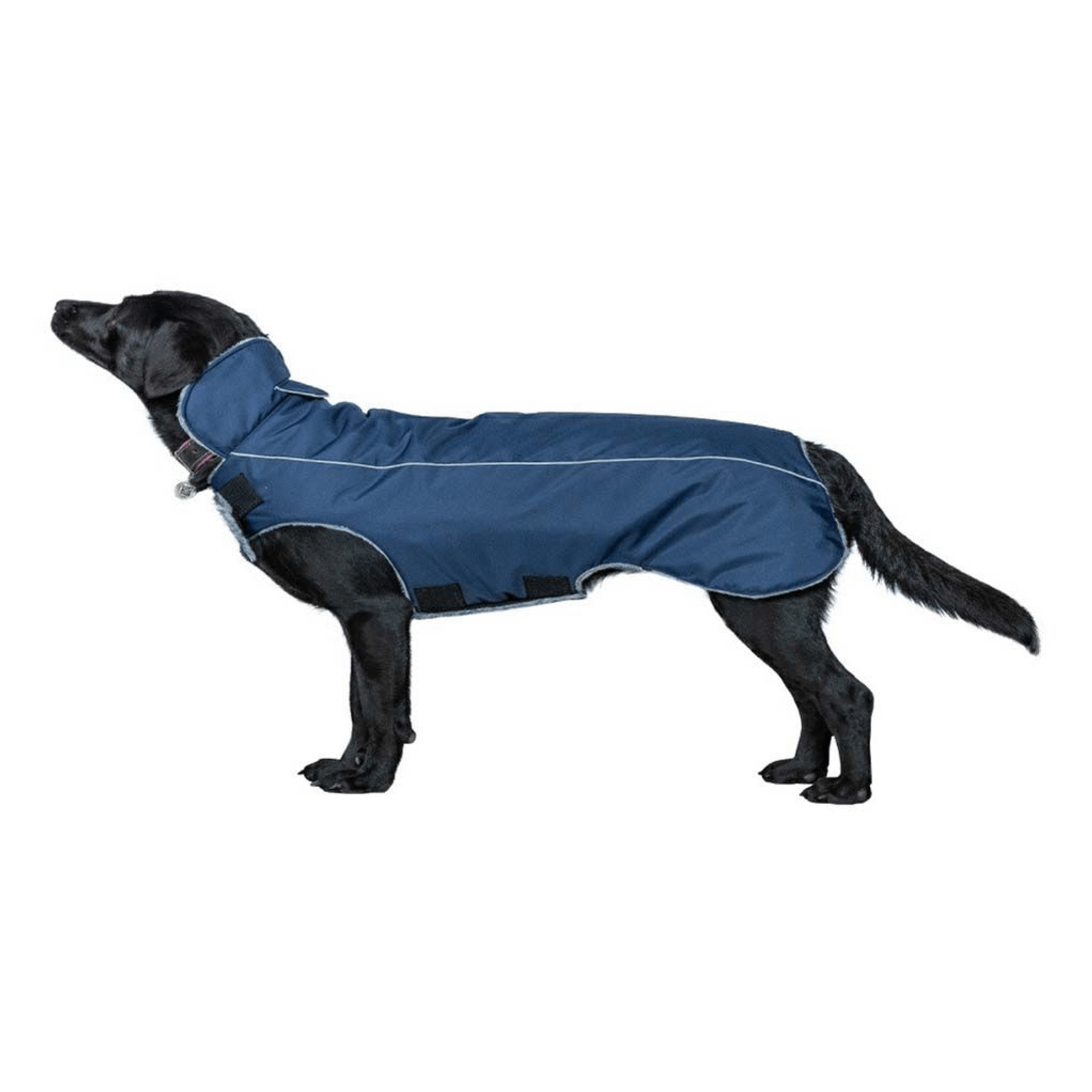 

Попона для собак Dogmoda Бостон синяя, размер 5, унисекс, Синий