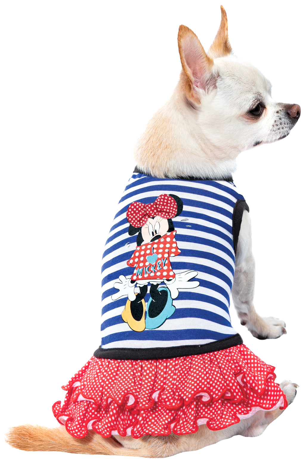 

Платье для собак Disney Minnie Summer, 25 см, Разноцветный