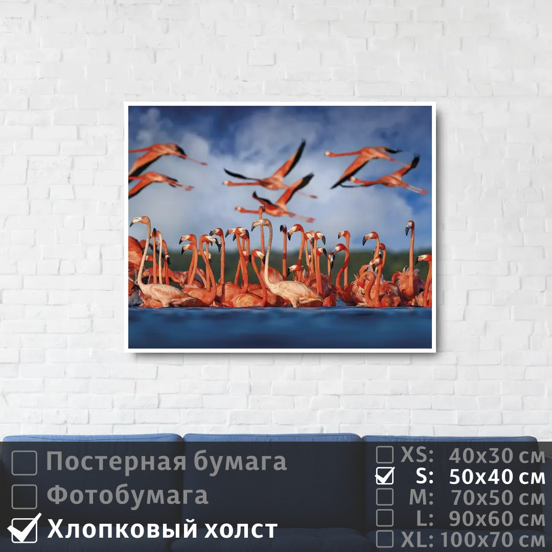 

Постер на холсте ПолиЦентр Стая розовых фламинго у берега 50х40 см, СтаяРозовыхФламингоУБерега