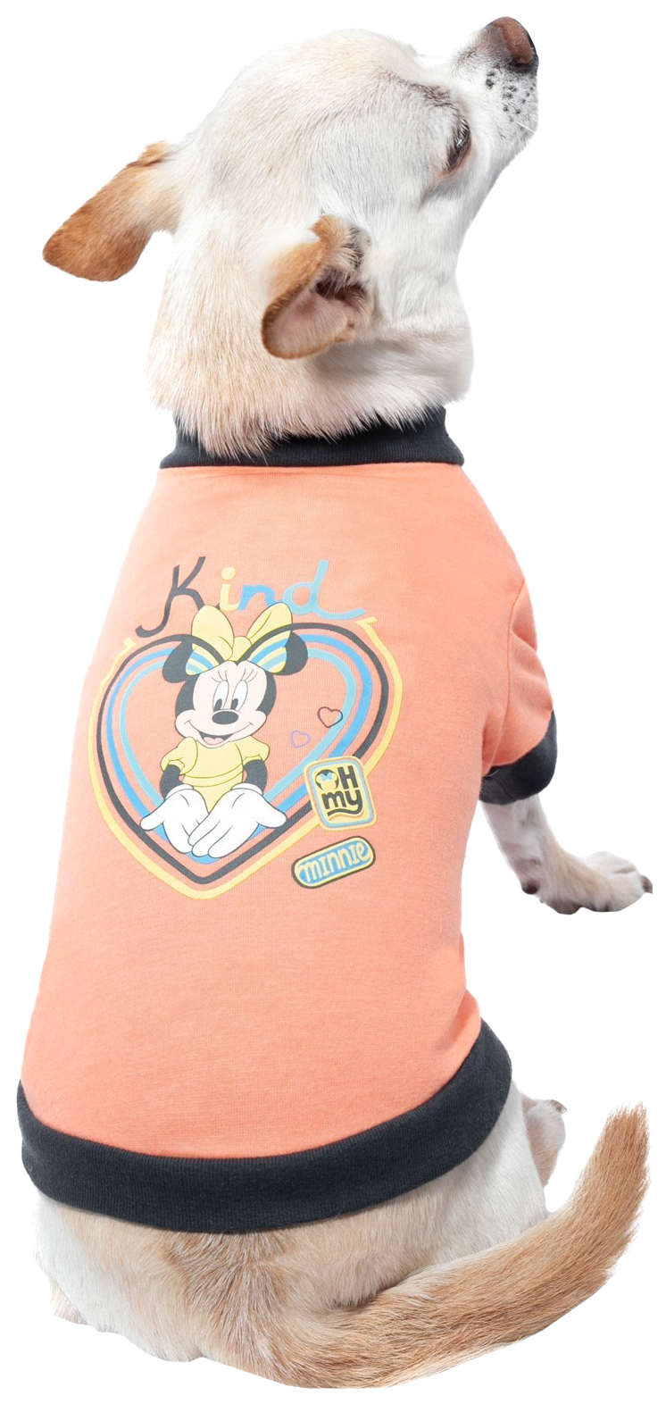 

Футболка для собак Disney Minnie Vintage, 25 см, S, Розовый