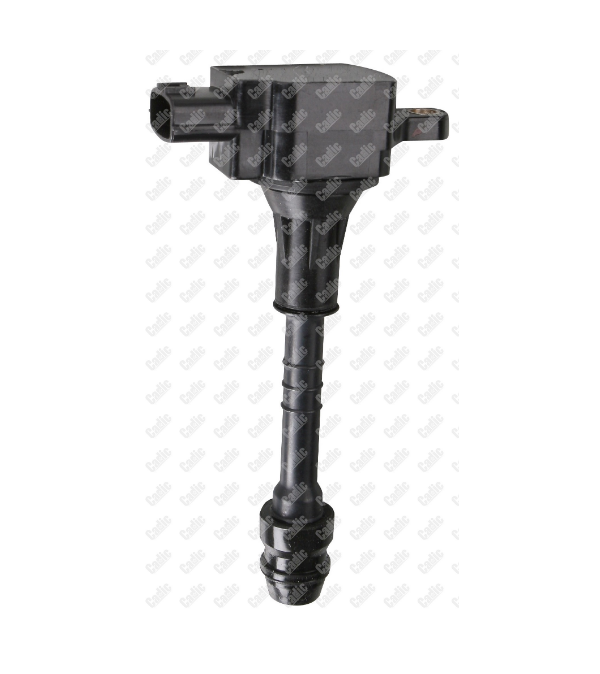 

CADIC Катушка зажигания CADIC kd9502