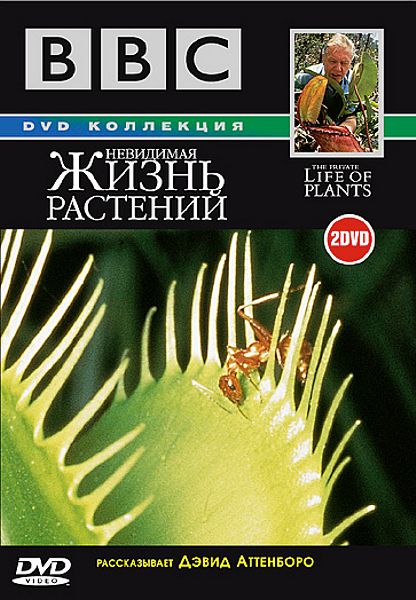 фото Bbc: невидимая жизнь растений (2 dvd)