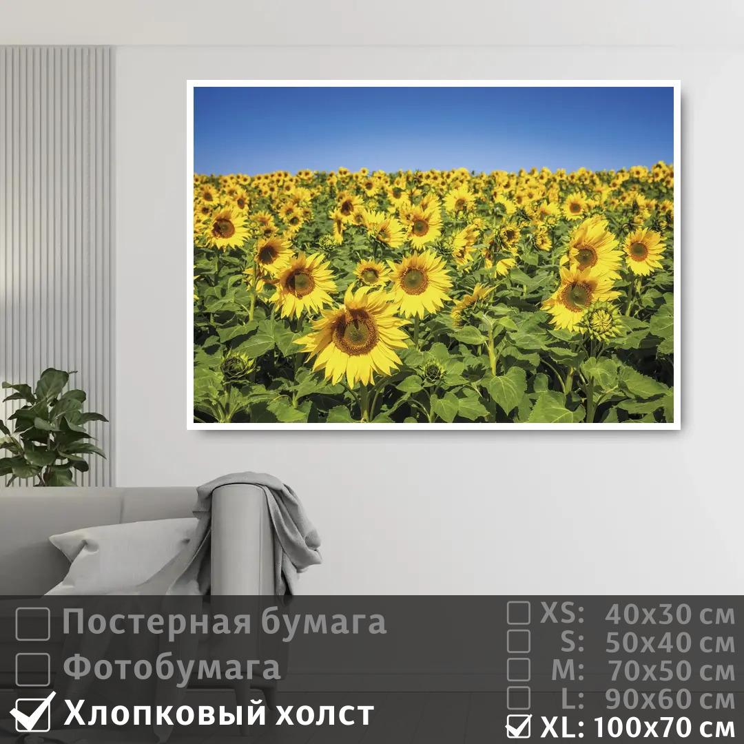 

Постер на холсте ПолиЦентр Подсолнечное поле 100х70 см, ПодсолнечноеПоле1