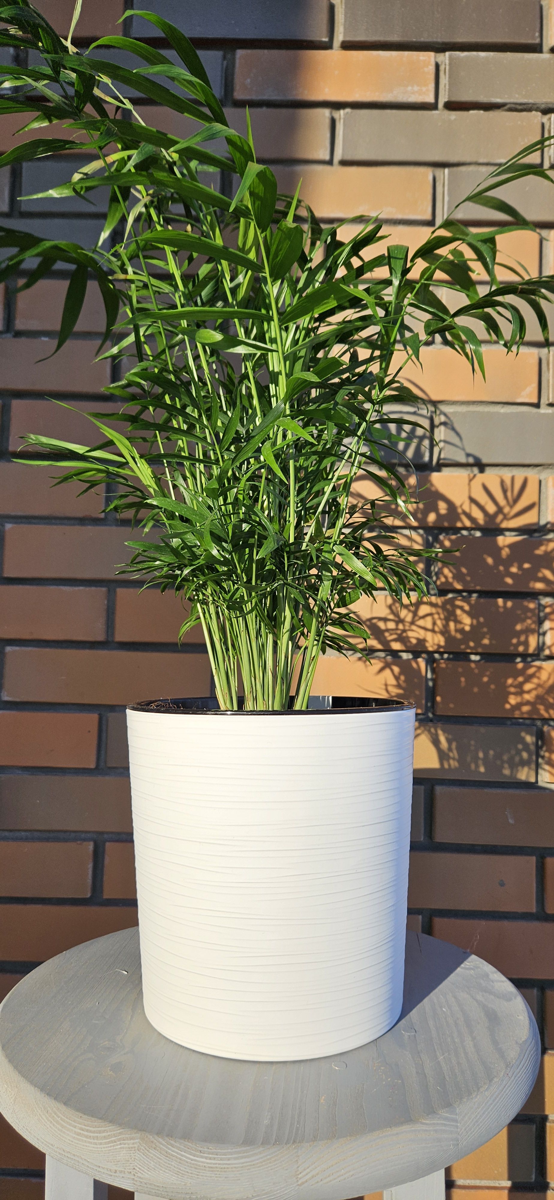 Горшок для цветов ArAs Flowers Вега Белый, артикул 940 5,2 л., 1 шт