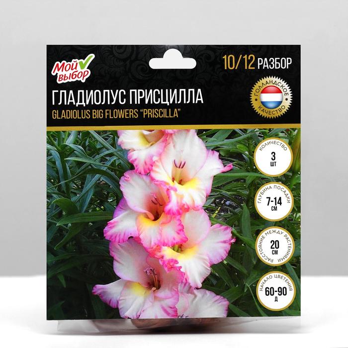 

Луковица Гладиолус Присцилла 10-12