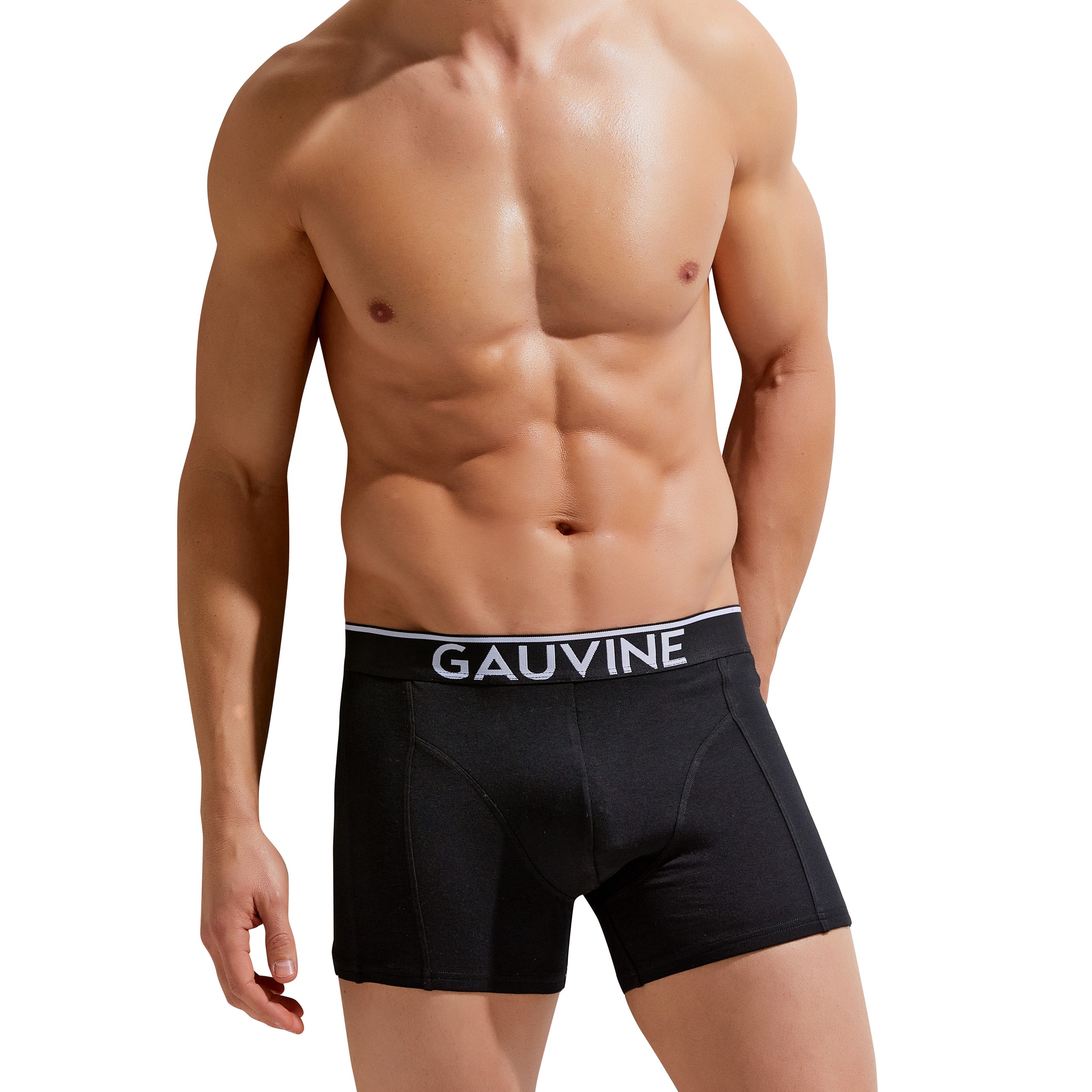 

Трусы мужские GAUVINE 3011 черные S, Черный, 3011