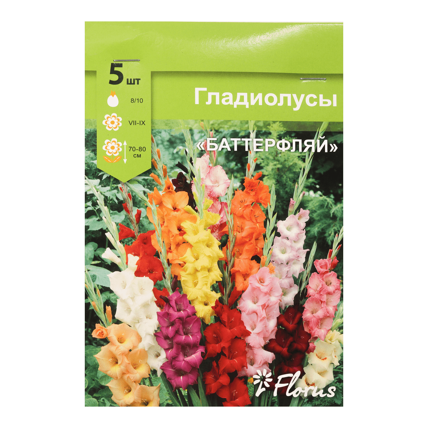 

Луковица Гладиолус Баттерфляй микс 8/10