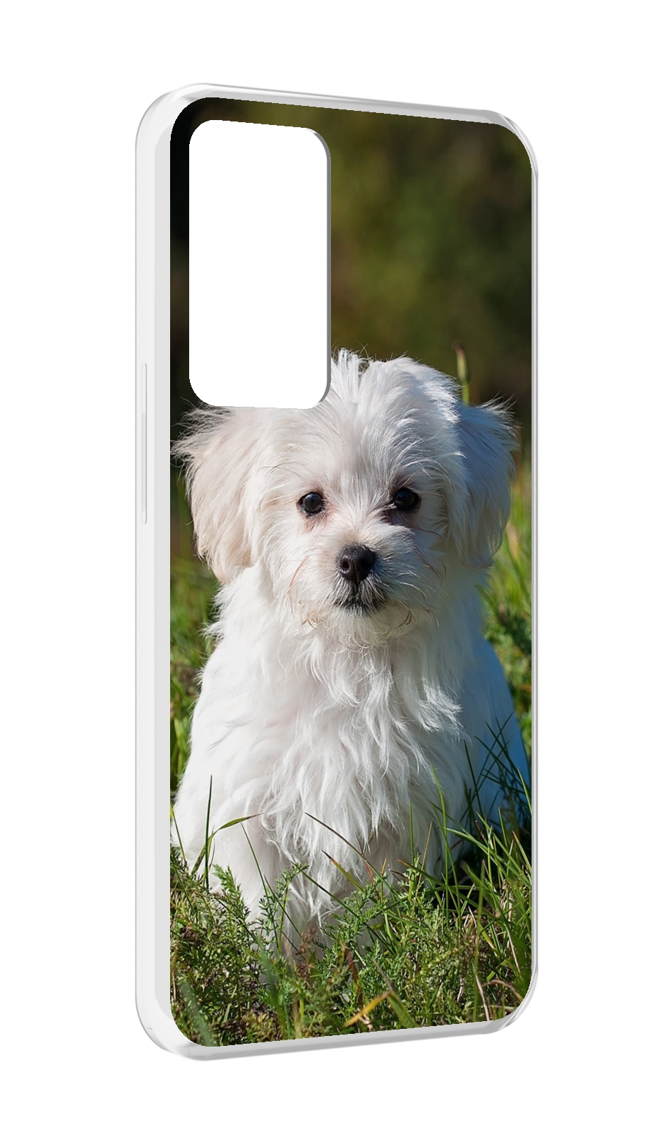 

Чехол MyPads мальтииская-болонка для OPPO Reno 8 Lite, Прозрачный, Tocco