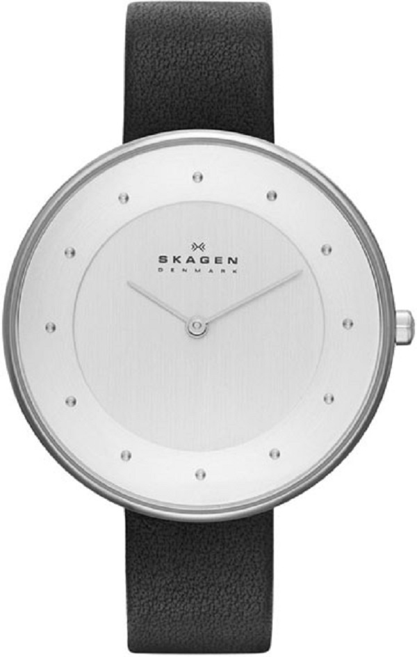 фото Наручные часы skagen skw2232