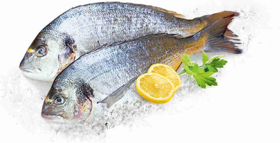 

Дорада охлажденная непотрошеная с головой +-350 г