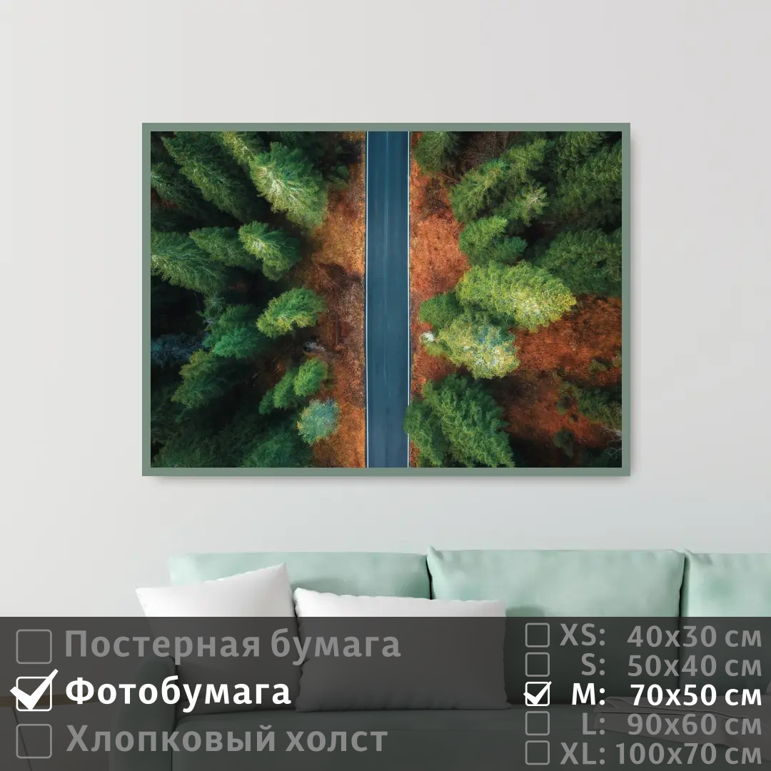 

Постер на фотобумаге ПолиЦентр Над шоссе через леса 70х50 см, НадШоссеЧерезЛеса