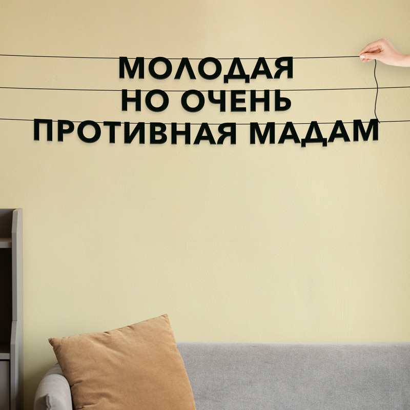 

Гирлянда-растяжка Молодая но очень противная мадам VN617 черная, Черный, Молодая но очень противная мадам