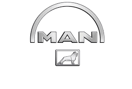 MAN 06014946930 MAN06.01494.6930_болт! М20X2X210-10\MAN  () 1шт