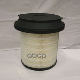 

P781465_фильтр Воздушный ! Mb-Atego, Axor Donaldson арт. P781465