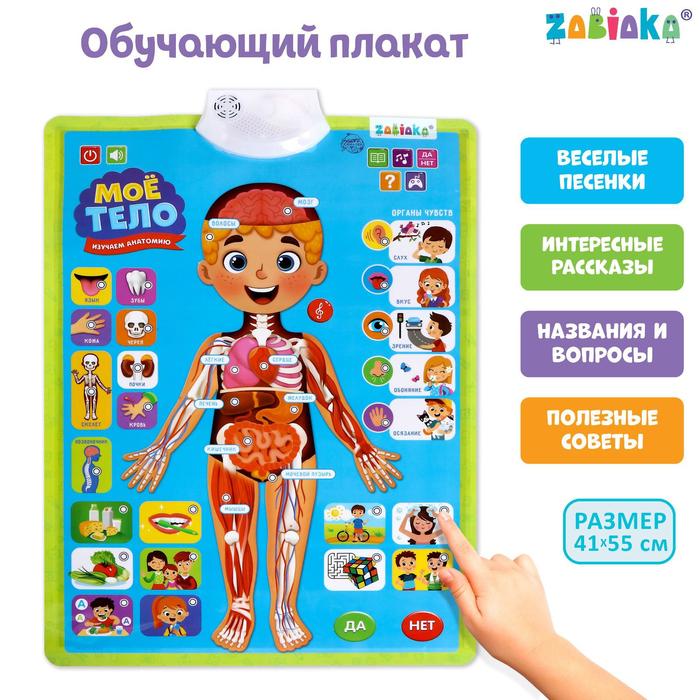 ZABIAKA Изучаем анатомию: Мое тело, со звуком, для развития ребенка