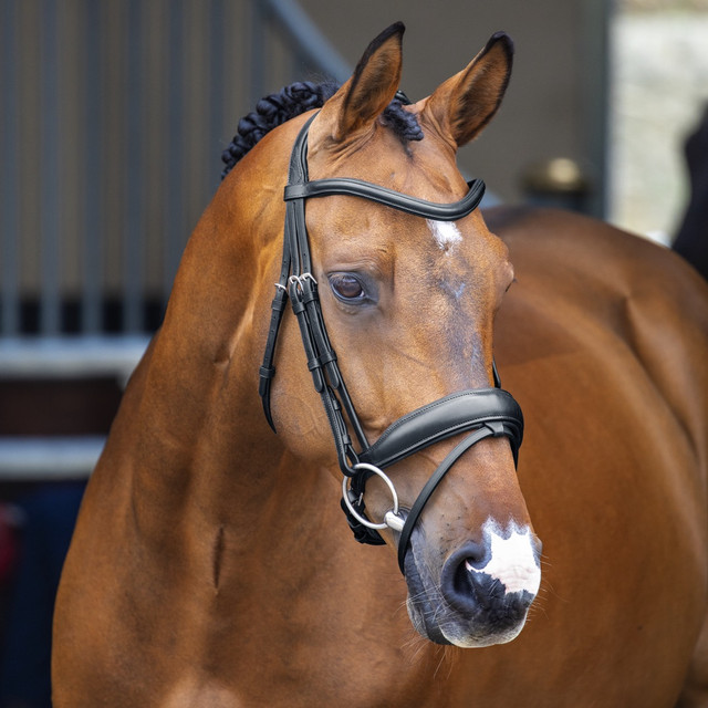 

Оголовье для лошади Shires Dressage, FULL, чёрный, Черный