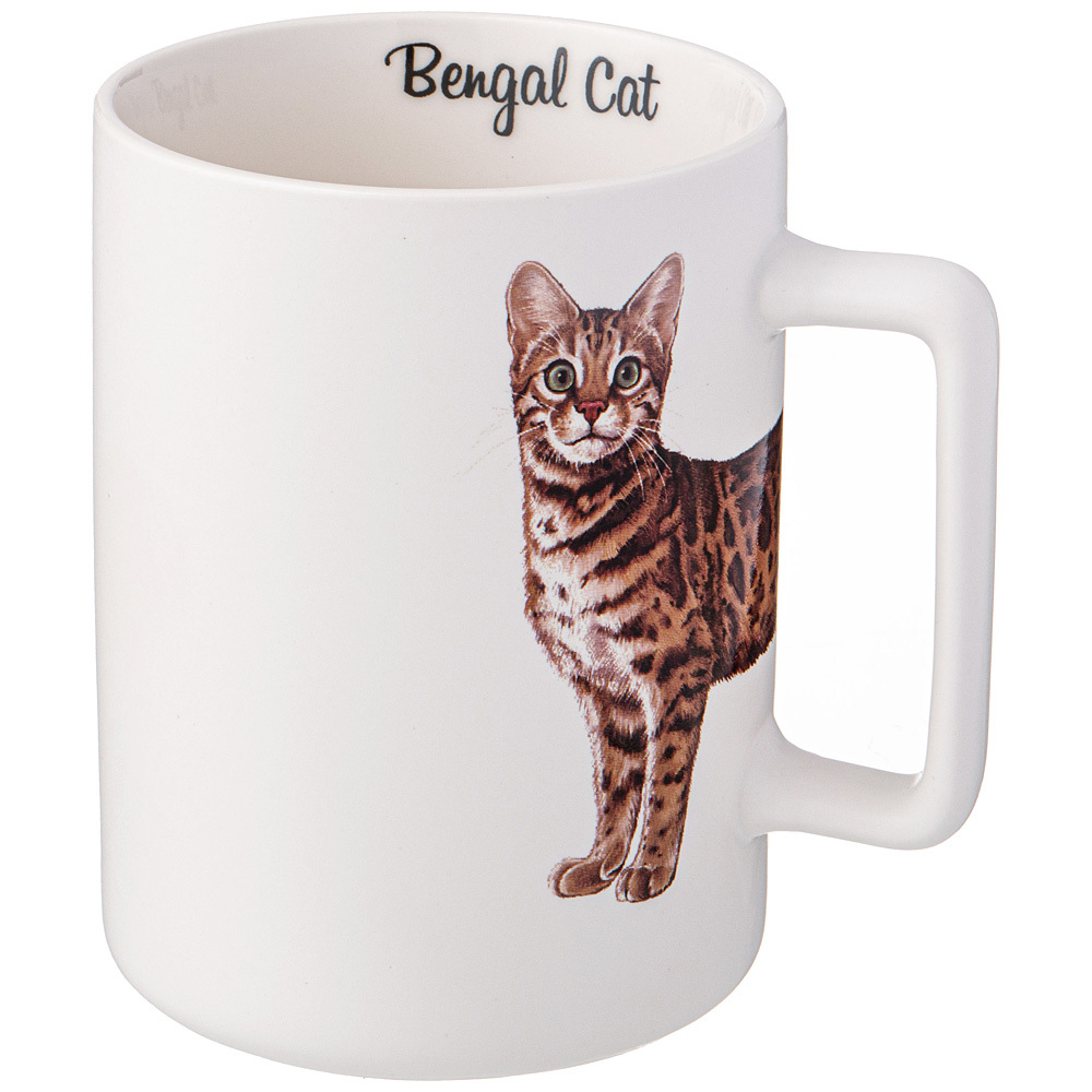 

Кружка Flando Bengal Cat 400мл. 260-935