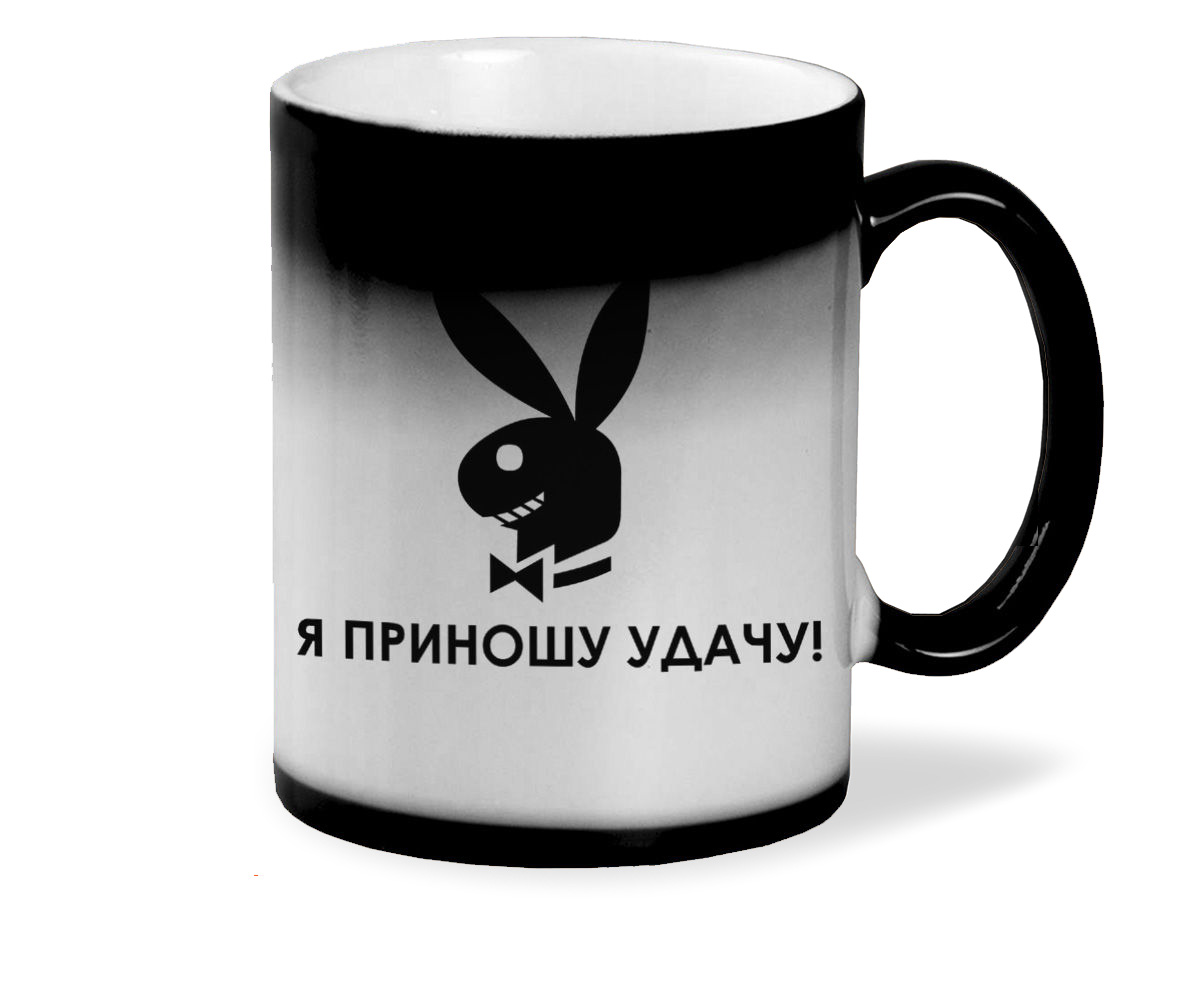 

Кружка CoolPodarok Я приношу удачу Плейбой
