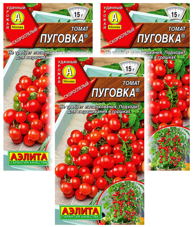 Томат пуговка описание сорта фото. Помидоры сорт Пуговка. Томат Пуговка семена. Томат дачное лакомство.