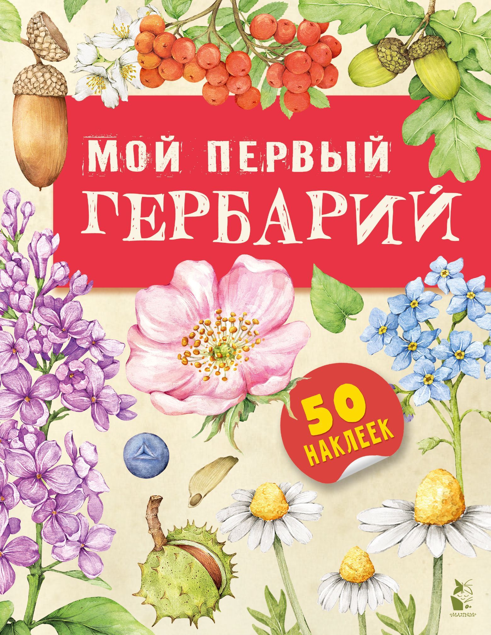 Книга Мой первый гербарий 100053794366