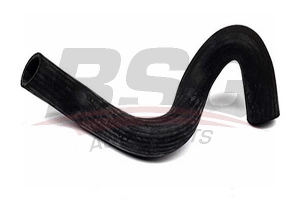 

Шланг автомобильный BSG BSG30720096