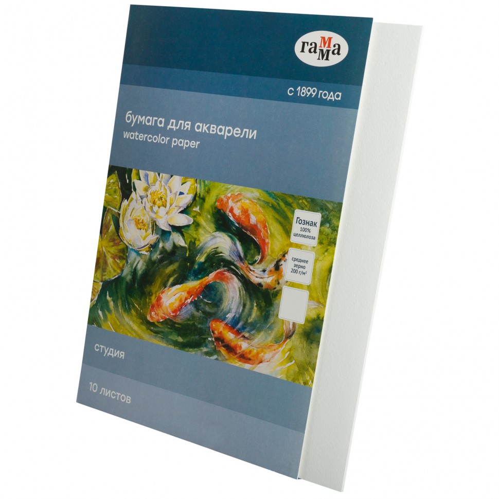 Папка 10 листов Гамма Студия, А3 (297х420 мм), 200 гр/м2, целюлоза, артикул 30C03F710W