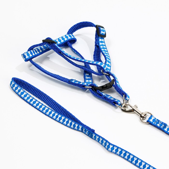 

Пижон прошитая, 23-35 см, "Косточки", 1 см, с поводком 120 см, синий