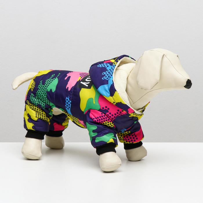 

КНР Dogbaby, S, спина 20 см, шея 23 см, грудь 32 см