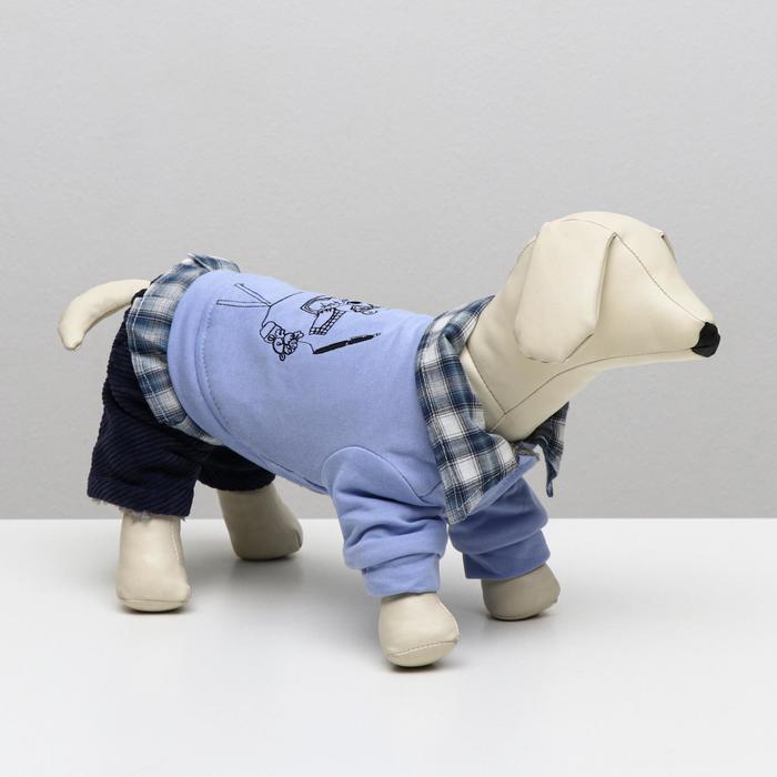 

КНР "Рисунок", L, спина 30 см, шея 29 см, грудь 44 см