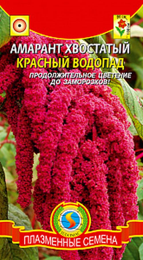 

Семена амарант Красный водопад Плазмас 6710 1 уп.