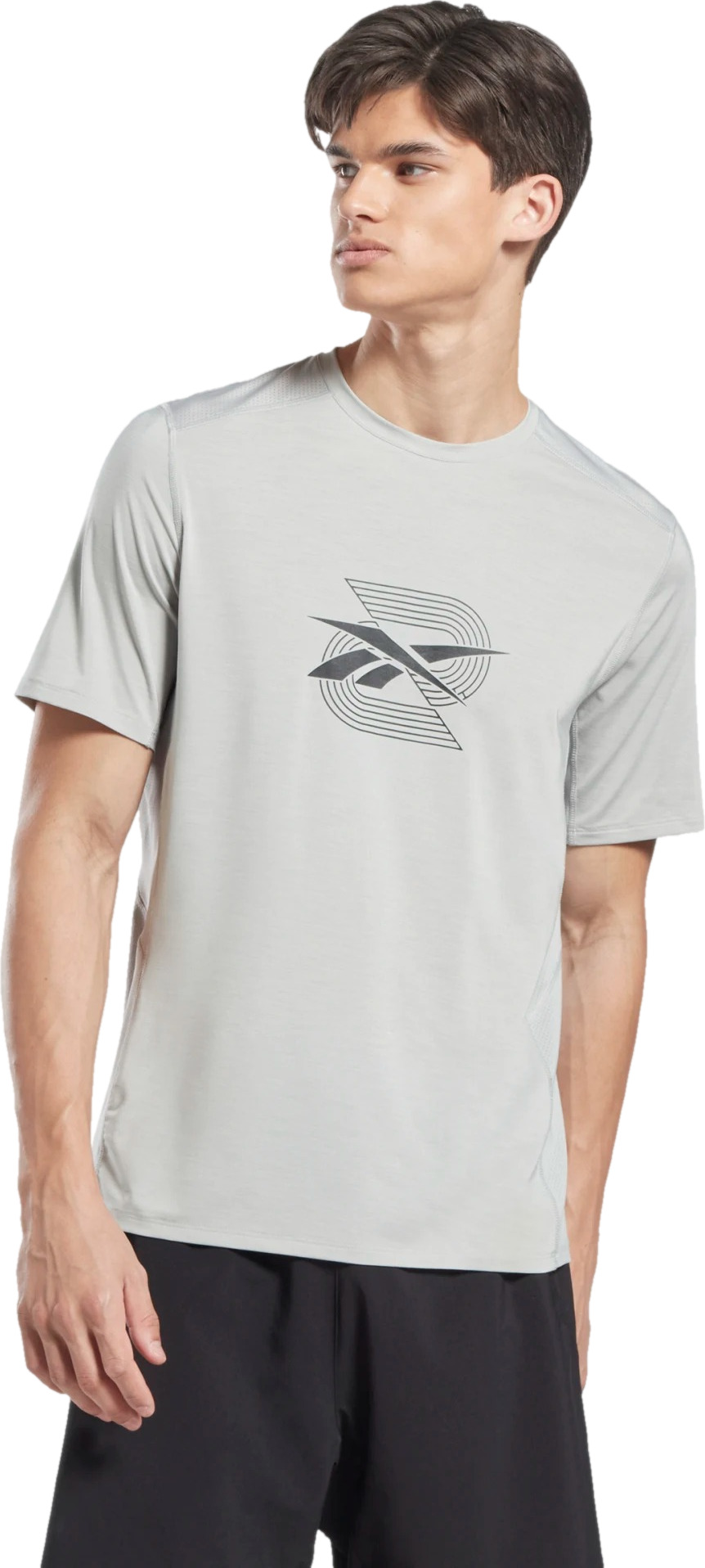 

Футболка мужская Reebok IC5036 серая S, IC5036
