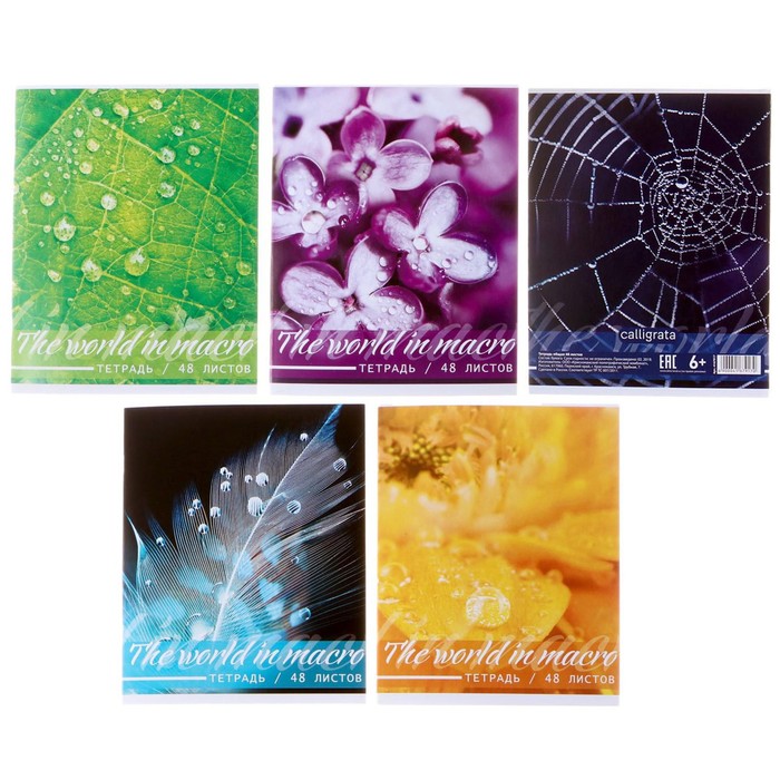 

Тетрадь 48 л в клетку Calligrata "Микромир", обложка мелованный картон, блок офсет, МИКС