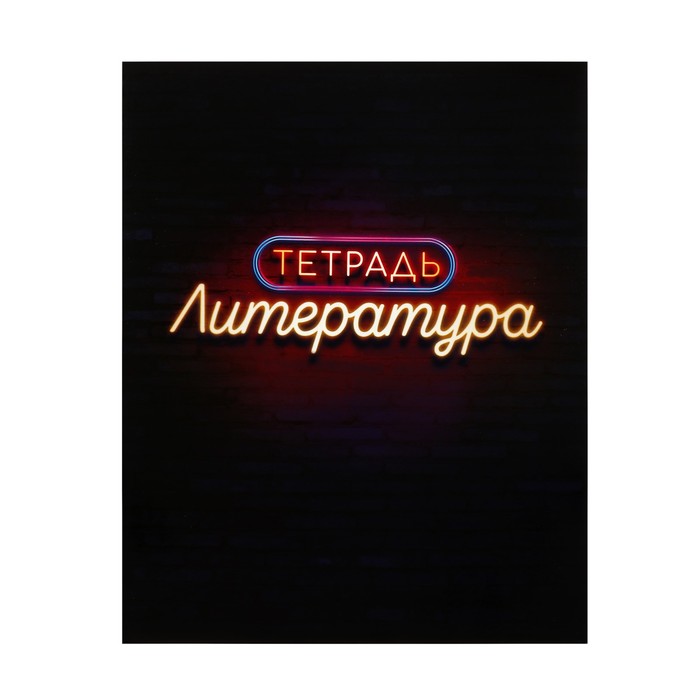

Тетрадь предметная "Неон. Литература" 48 л в линейку со справочными материалами блок оф…