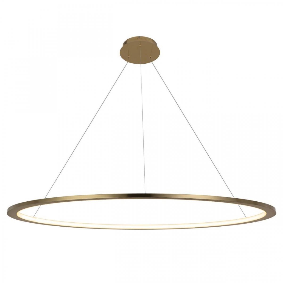 

Подвесной светодиодный светильник Loft IT Ring 10014XXL