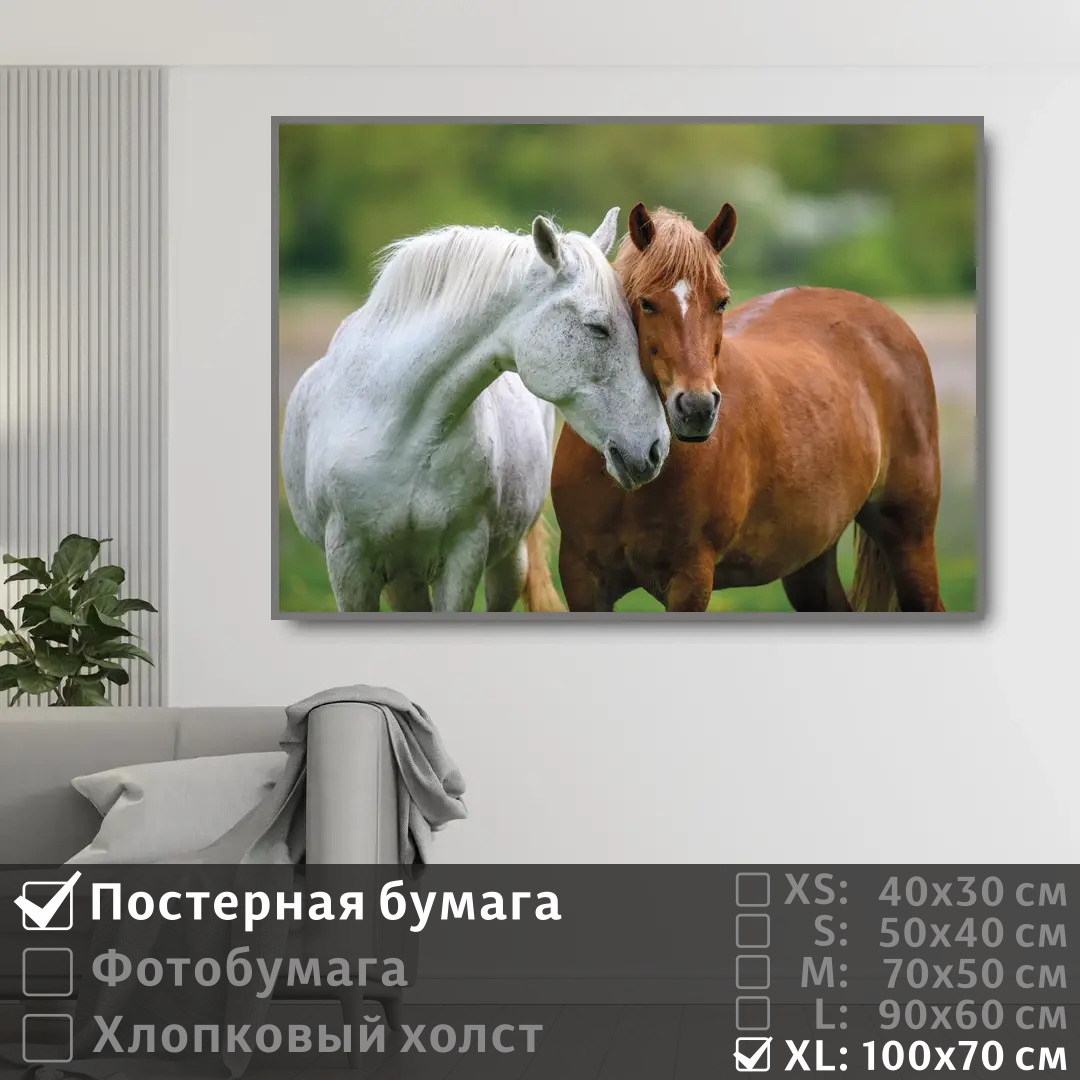 

Постер на стену ПолиЦентр Две лошади 100х70 см, ДвеЛошади1