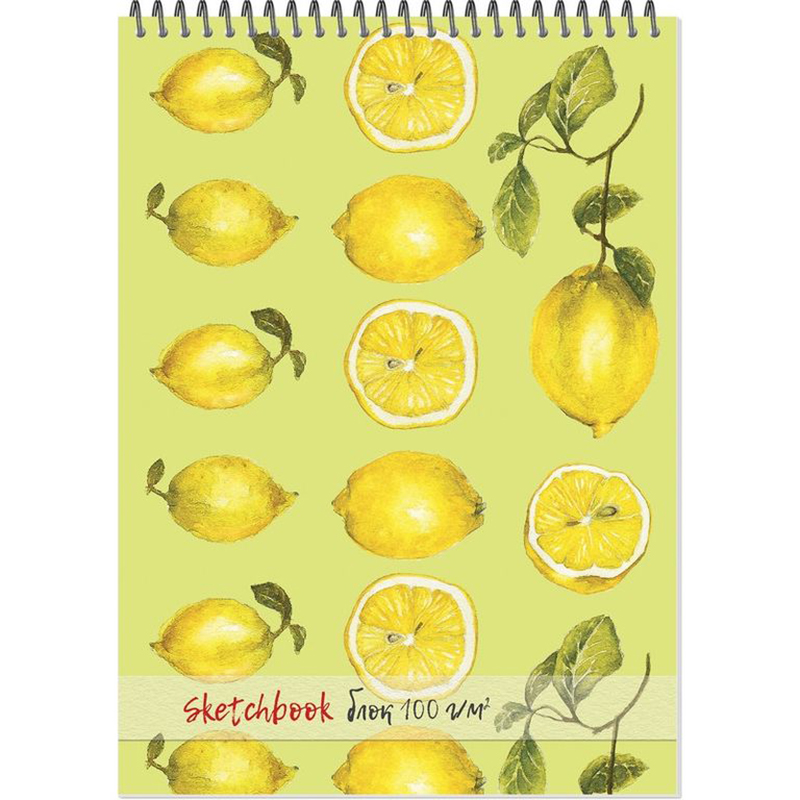 

Скетчбук А4, 40л, 100гр, спираль, жесткая подложка SKETCHBOOK100 2716 асс, alb0432